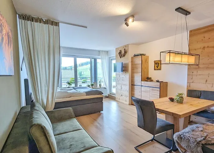 Michaelas Apartment Winterberg